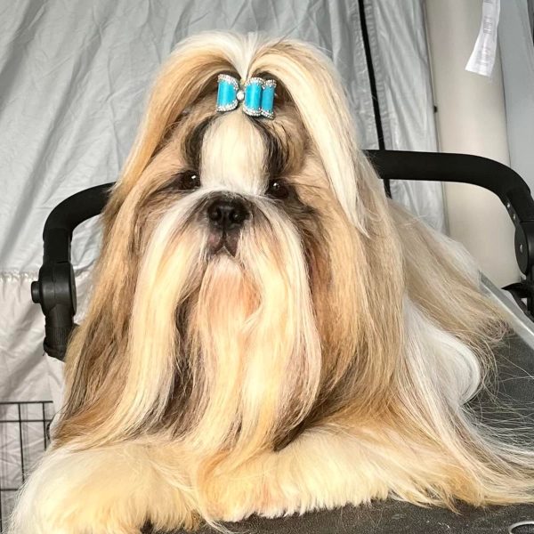 487540999_23947887538129424_6721255059266130667_n