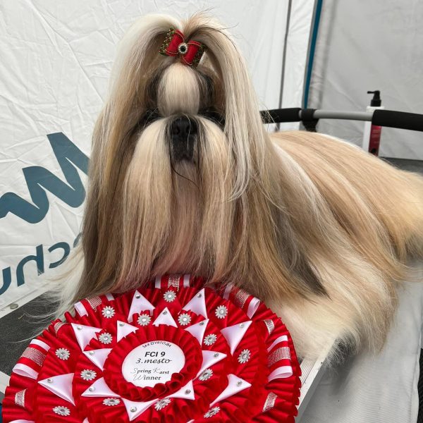 490565960_24050125021239008_7700020860642048612_n