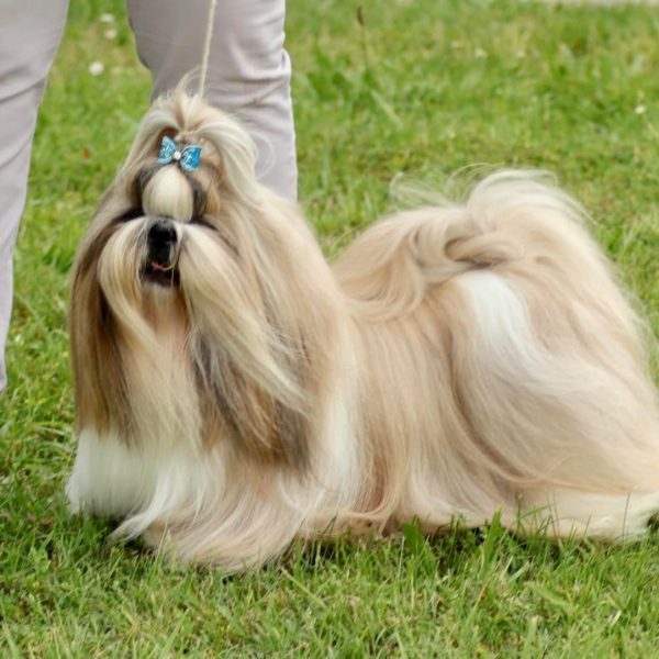 493320653_24131090756475767_1035783026350281684_n