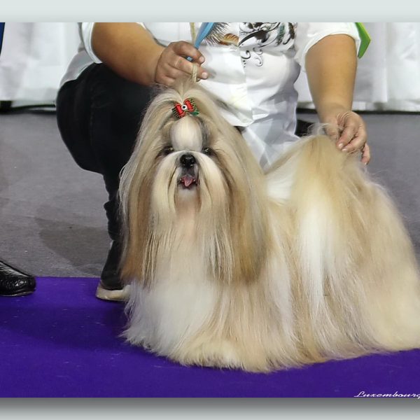 494261481_24170681102516732_1501557748151302325_n