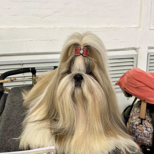 503398445_24438946682356838_8668121948059801588_n