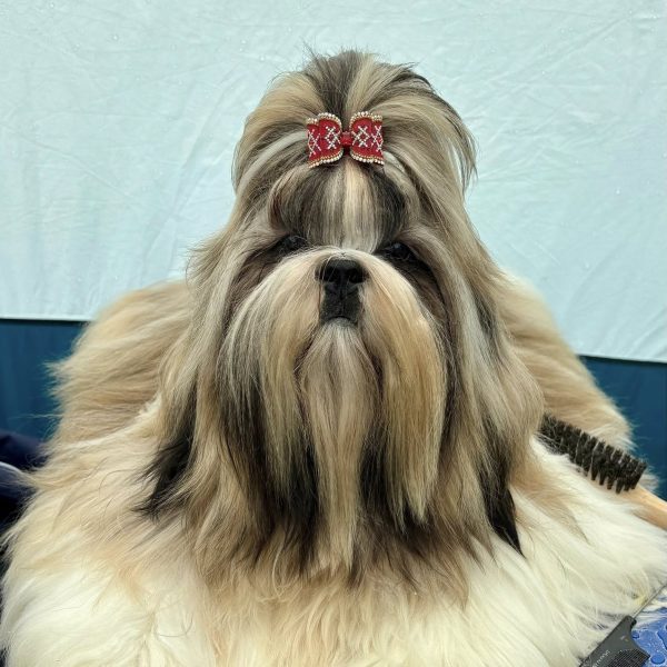 516895747_24748522981399205_8145336571755202300_n