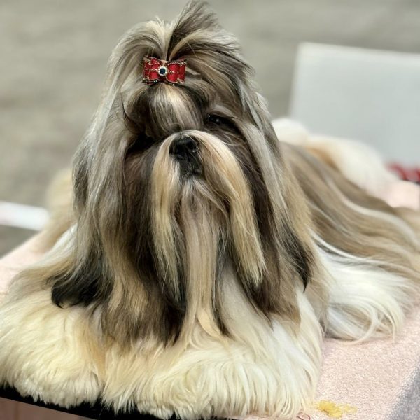 518334440_24799931706258332_1039035170561409497_n