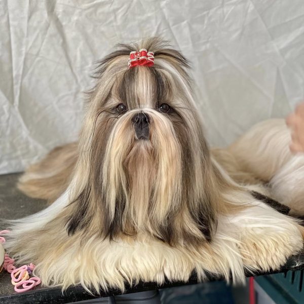 525573877_24905143902403778_5099378276601653649_n