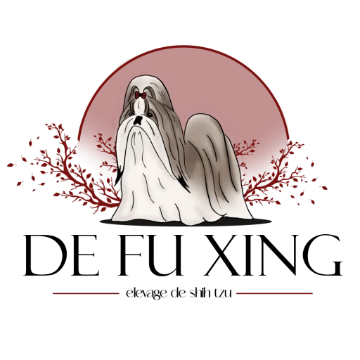 Logo couleur de l'élevage Shih Tzu de Fu Xing contact élevage Shih Tzu