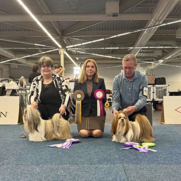 photo de Bradley avec Mme Ureck ou il remporte le meilleur de race