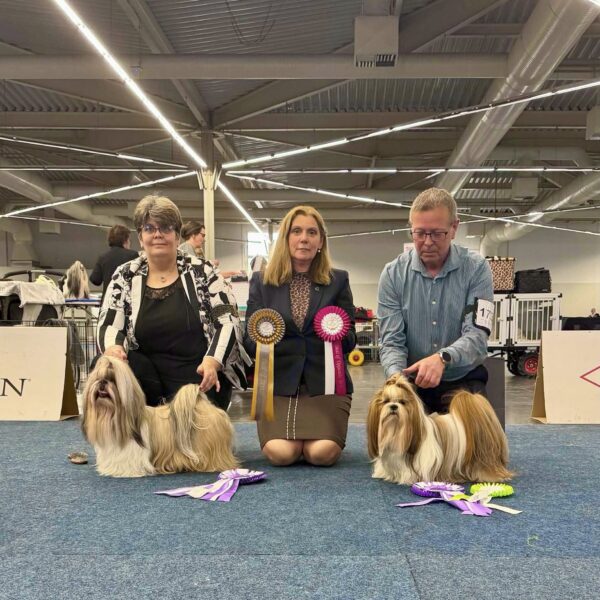 photo de Bradley avec Mme Ureck ou il remporte le meilleur de race