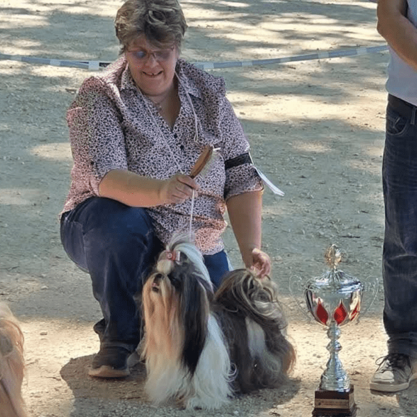 Photo d'Ashley qui remporte le Best In Show lors de la régionale CCTF 2026