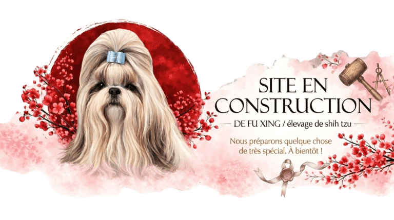 bannière site en construction
